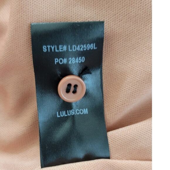 Zara Dress Womens Medium Charlisa Rusty Rose Lace Dress Whimsical Boho Dess NWT - Picture 13 of 13